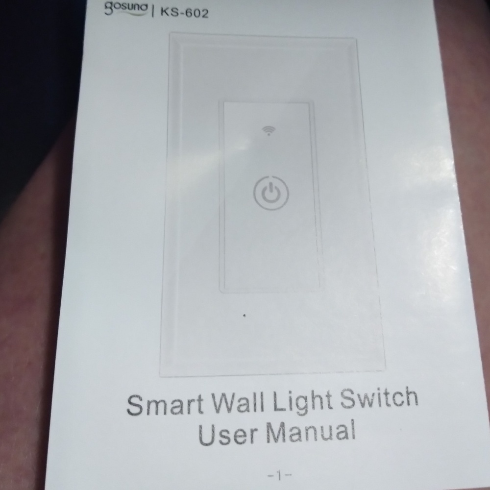 Wall light switch